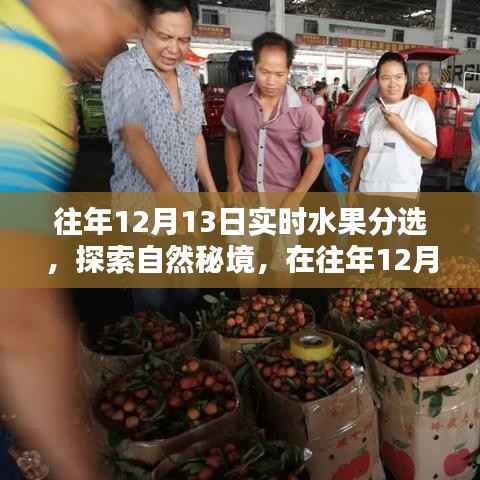 第572页