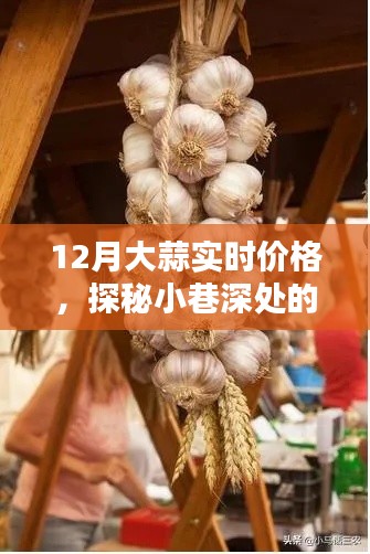 探秘小巷深处的蒜香乐园,揭秘大蒜实时价格走势,洞悉市场变化