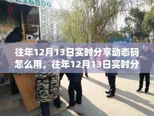 往年12月13日实时分享动态码，应用评测、特性体验、用户群体分析及使用指南