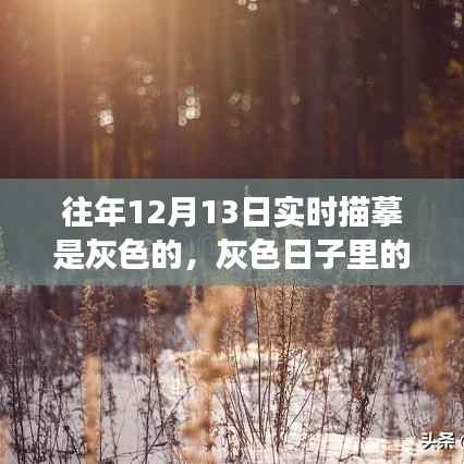 灰色日子里的彩色温情,一场意外的冬日奇遇纪实