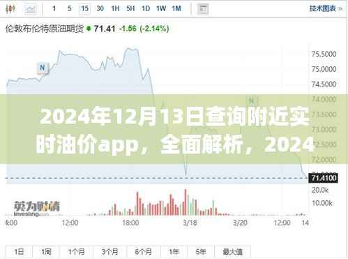 2024年最佳油价查询App,附近实时油价全面解析
