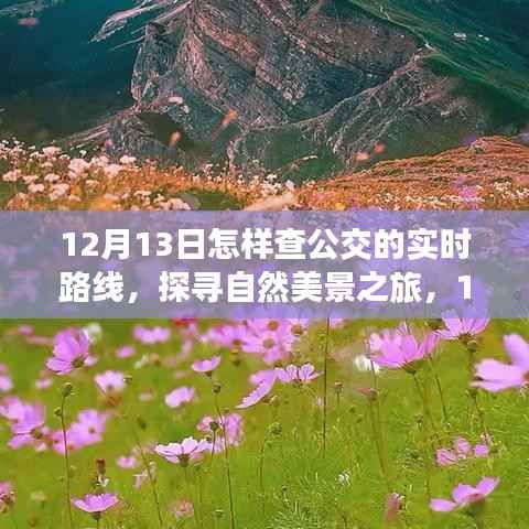 12月13日探寻自然美景之旅,公交实时路线开启心灵之旅的启程点