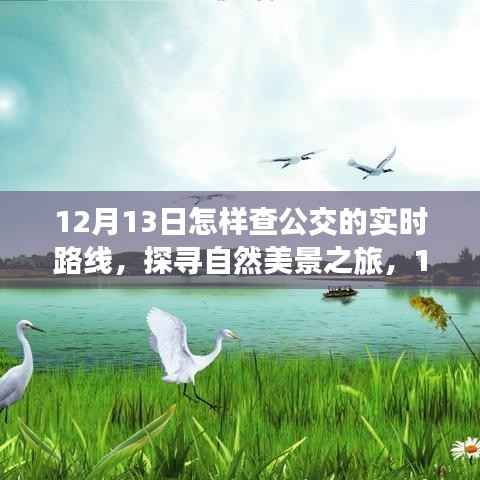 12月13日探寻自然美景之旅,公交实时路线开启心灵之旅的启程点