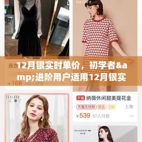 12月银实时单价查询与监控指南,适合初学者与进阶用户的步骤指南