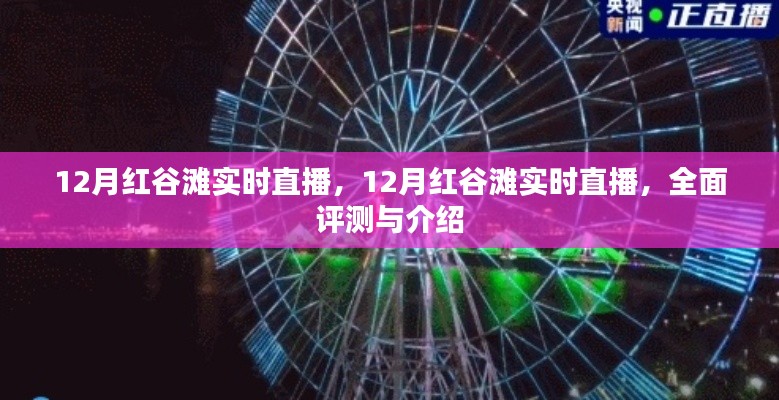 12月红谷滩实时直播,全面评测与详细介绍