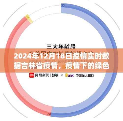 吉林省疫情下的绿色避风港与心灵宁静的自然探索之旅(实时数据更新)