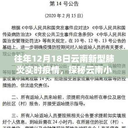 疫情之下的云南美食之旅,探秘小巷深处的特色小店与实时疫情观察