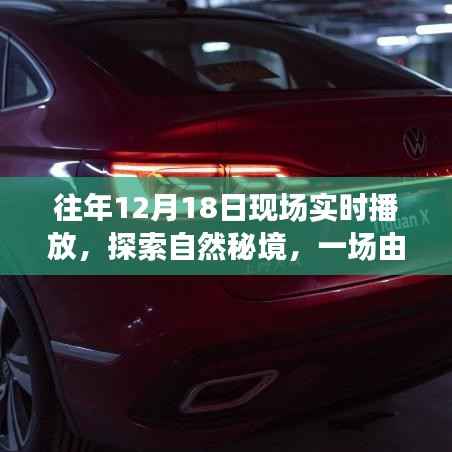 探索自然秘境,一场由心启航的旅行盛宴,相约自然之门的盛宴