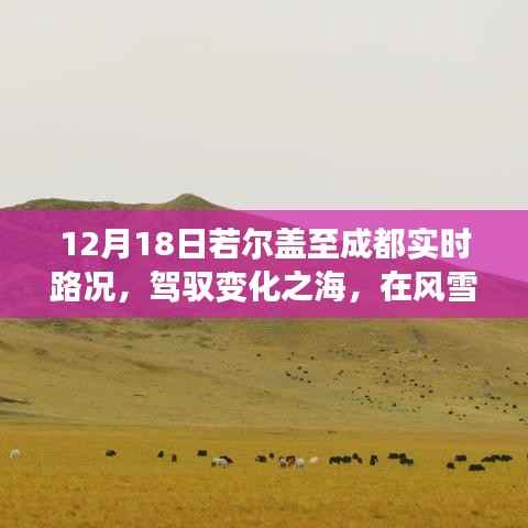 风雪若尔盖至成都之路,驾驭变化之海,励志传奇启程