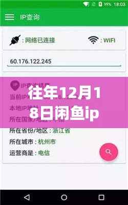 揭秘闲鱼IP定位新纪元,十二月科技狂欢背后的实时定位魅力