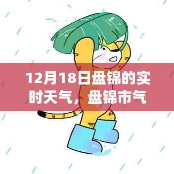揭秘盘锦市气象报告,十二月十八日的实时天气状况
