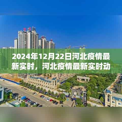 河北疫情最新实时动态观察报告,多维度视角解读与深度分析(2024年12月22日观察点)