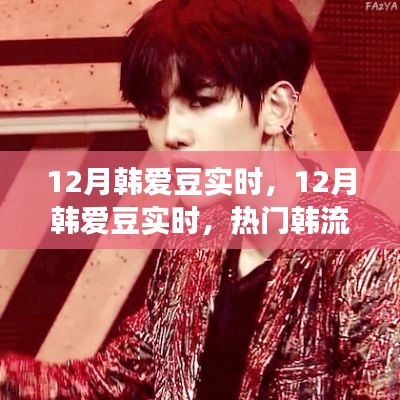 12月韩爱豆实时动态,热门韩流明星一网打尽