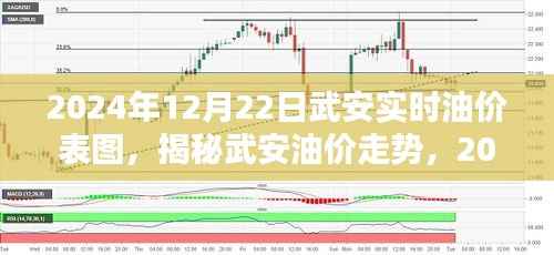 揭秘武安油价走势,最新油价表图与解析(2024年12月22日)
