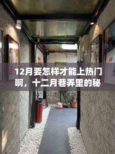 十二月巷弄探秘,特色小店点燃热门探索之旅