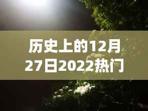 探索自然美景的奇妙旅程,历史上的热门旅行礼品与心灵宁静之旅的启示