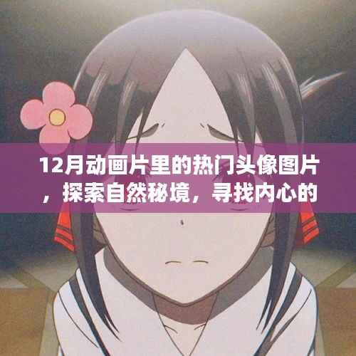 十二月动画片头像之旅,探索自然秘境,寻找内心的宁静与喜悦