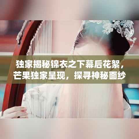 独家揭秘锦衣之下幕后花絮,芒果独家呈现,探寻神秘面纱!