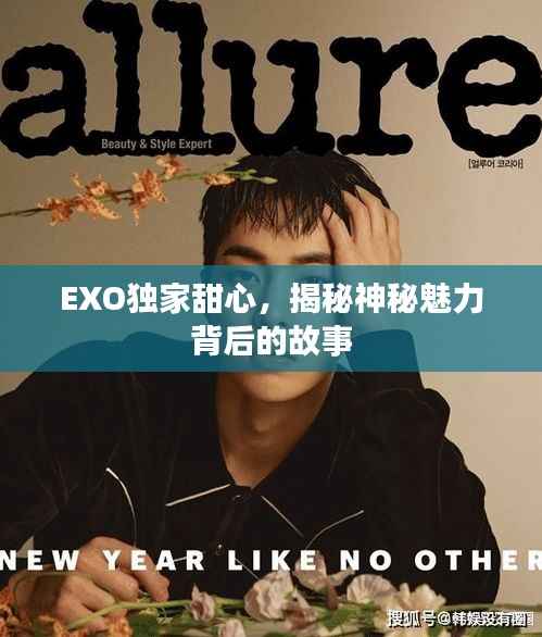 EXO独家甜心，揭秘神秘魅力背后的故事