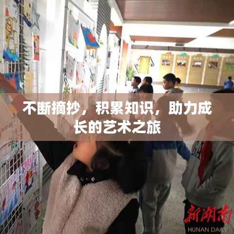 不断摘抄,积累知识,助力成长的艺术之旅