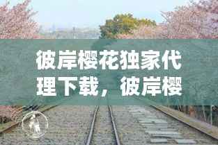 彼岸樱花独家代理下载,彼岸樱花网站入口