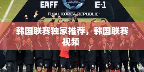 韩国联赛独家推荐,韩国联赛视频