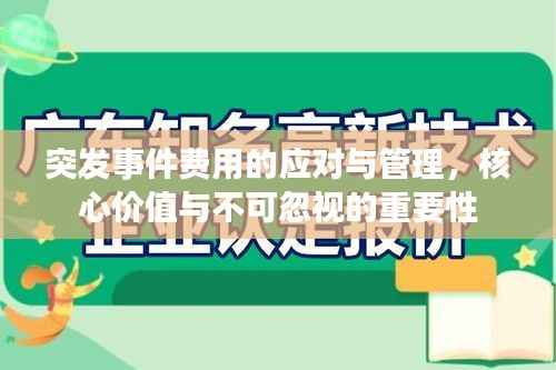 突发事件费用的应对与管理,核心价值与不可忽视的重要性