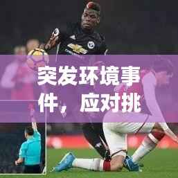 突发环境事件，应对挑战的策略之道