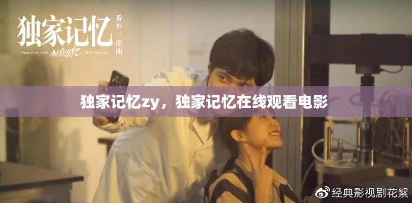 独家记忆zy,独家记忆在线观看电影