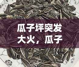 瓜子坪突发大火,瓜子坪农家烧烤