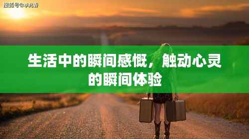 蛙鼓蝉鸣 第2页