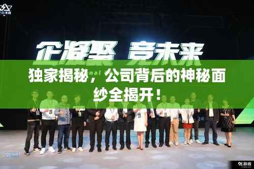 独家揭秘,公司背后的神秘面纱全揭开!