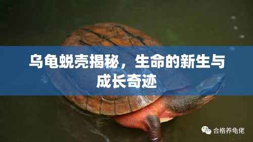 艰苦卓绝 第2页