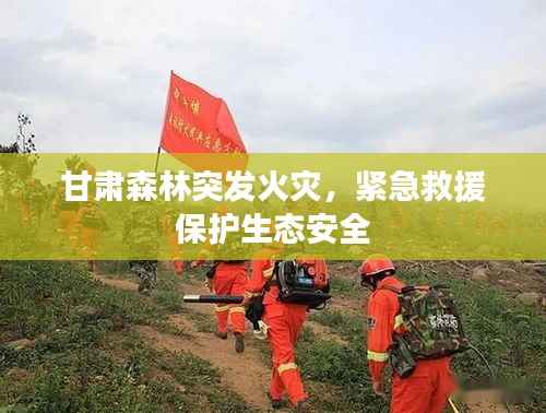 甘肃森林突发火灾,紧急救援保护生态安全