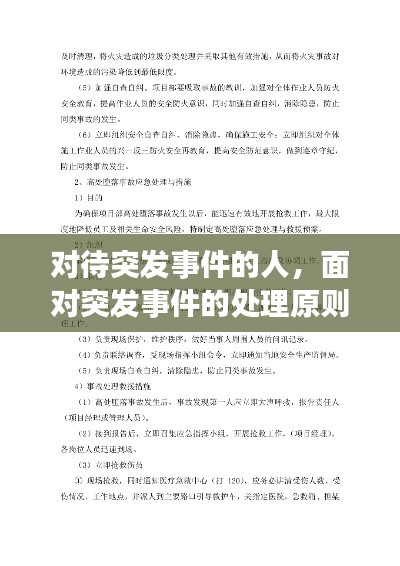 对待突发事件的人,面对突发事件的处理原则