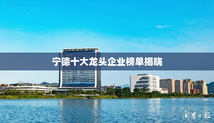 宁德十大龙头企业榜单揭晓