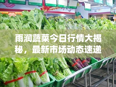 雨润蔬菜今日行情大揭秘,最新市场动态速递