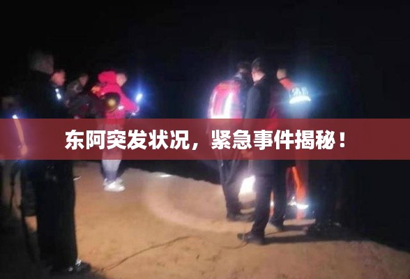 东阿突发状况,紧急事件揭秘!