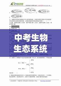 中考生物生态系统深度解析,专题解读与知识要点梳理