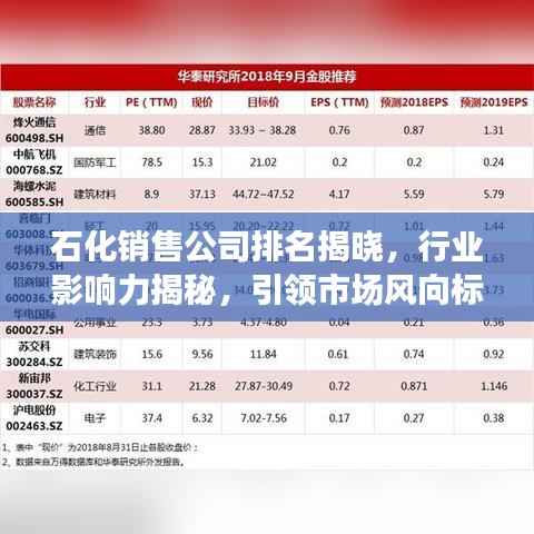 石化销售公司排名揭晓,行业影响力揭秘,引领市场风向标!