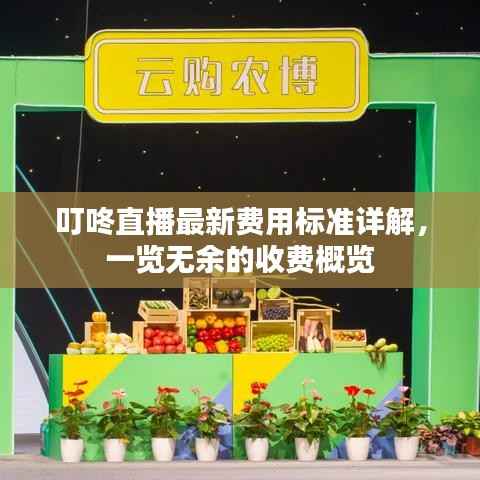 叮咚直播最新费用标准详解,一览无余的收费概览