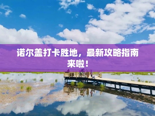 诺尔盖打卡胜地,最新攻略指南来啦!