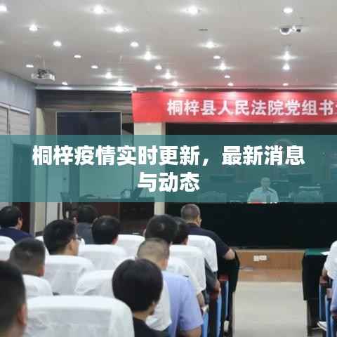 桐梓疫情实时更新,最新消息与动态