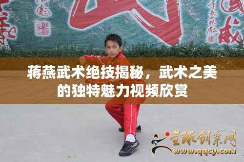 蒋燕武术绝技揭秘,武术之美的独特魅力视频欣赏