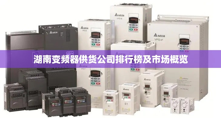 湖南变频器供货公司排行榜及市场概览