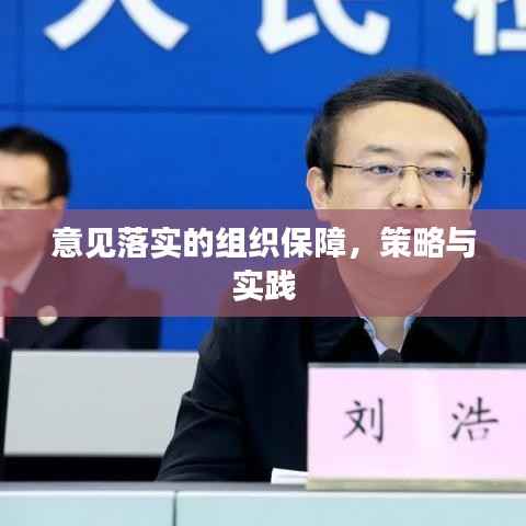 意见落实的组织保障，策略与实践