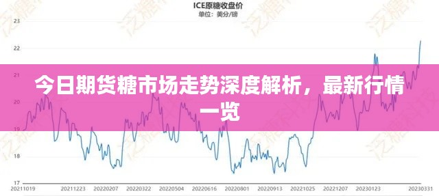 今日期货糖市场走势深度解析,最新行情一览