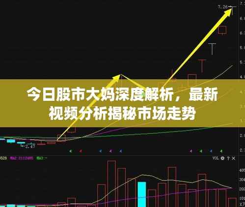 今日股市大妈深度解析,最新视频分析揭秘市场走势