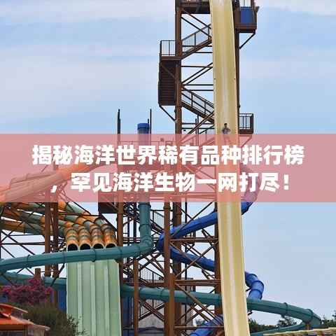 揭秘海洋世界稀有品种排行榜,罕见海洋生物一网打尽!