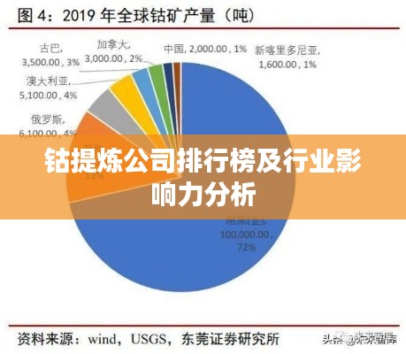 钴提炼公司排行榜及行业影响力分析